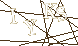 CAPTCHA Turing Test