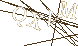 CAPTCHA Turing Test