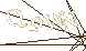 CAPTCHA Turing Test