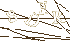 CAPTCHA Turing Test