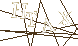 CAPTCHA Turing Test