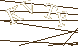 CAPTCHA Turing Test