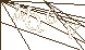 CAPTCHA Turing Test